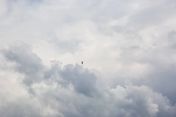 Nuvens Tempestade Nas Montanhas Bergueda Barcelona Pirinéus Espanha — Fotografia de Stock