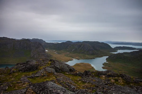 Summer Landscape Fiords Narsaq South West Greenland — Stock Photo, Image