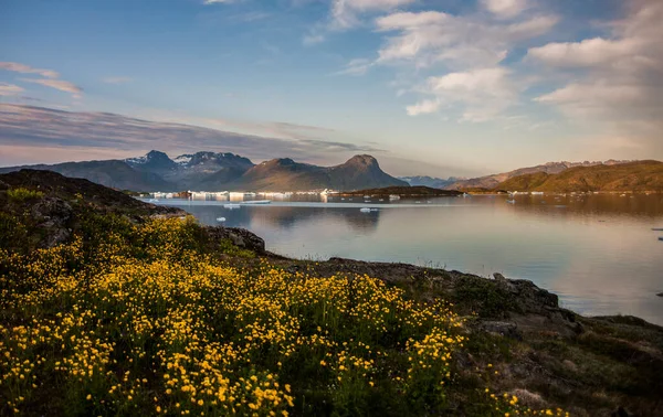 Summer Landscape Fiords Narsaq South West Greenland — Stock Photo, Image