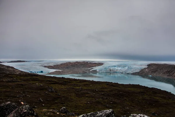 Paesaggio Estivo Nei Fiordi Narsaq Groenlandia Sud Occidentale — Foto Stock