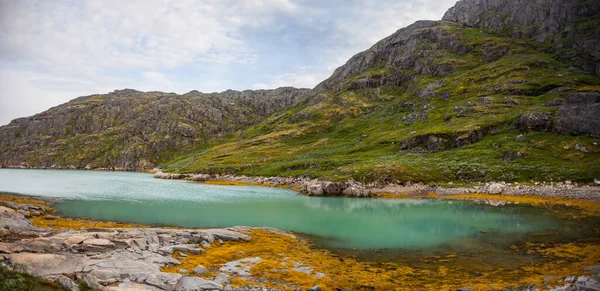 Narsaq Fiords Güneybatı Grönland Danimarka Daki Buzdağları Arasındaki Kayak Gezisi — Stok fotoğraf