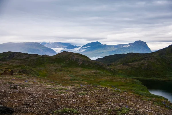 Zomer Landschap Fjorden Van Narsaq Zuidwest Groenland — Stockfoto