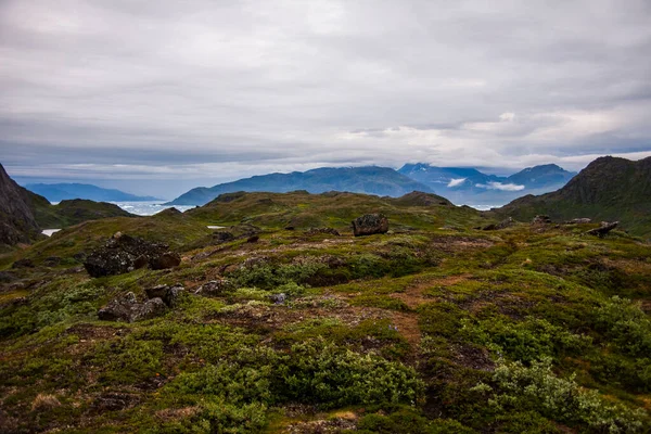 Montañas Verdes Los Fiordos Narsaq Suroeste Groenlandia —  Fotos de Stock