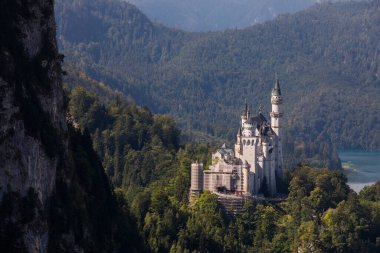 Güney Almanya, Bavyera 'daki Neuschwanstein Kalesi' nde yaz mevsimi. Avrupa