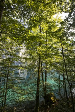 Obersee Gölü, Bavyera, Güney Almanya 'da gün doğumu. Avrupa