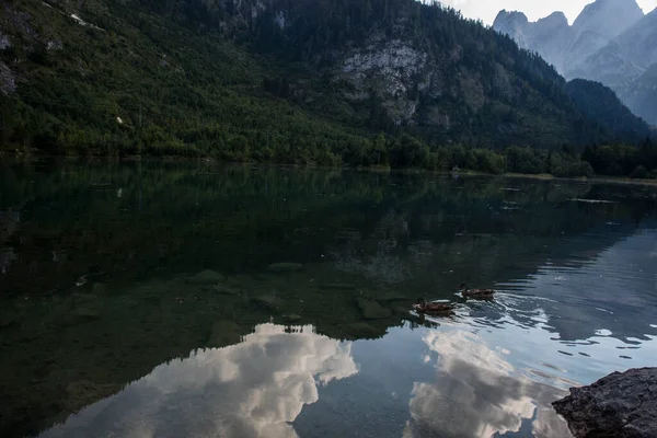 Летний Закат Горах Альп Северная Австрия Европа — стоковое фото