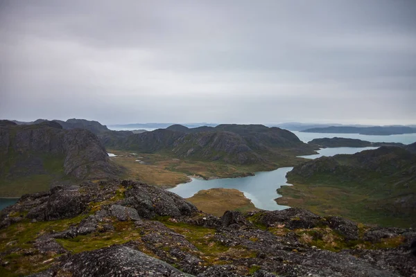 Paisaje Verano Los Fiordos Narsaq Suroeste Groenlandia —  Fotos de Stock