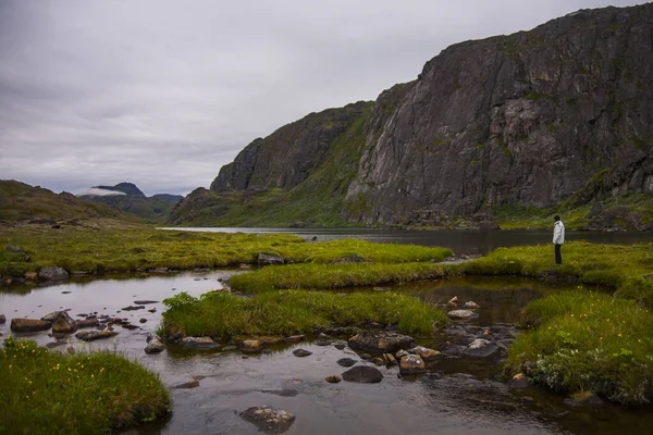 Expedición Kayak Entre Icebergs Los Fiordos Narsaq Suroeste Groenlandia Dinamarca — Foto de Stock