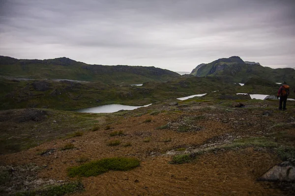 Зеленые Горы Фьордах Нарсак Юго Западная Гренландия — стоковое фото