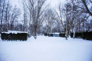 La Cerdanya 'da kış kampı, Pireneler, İspanya