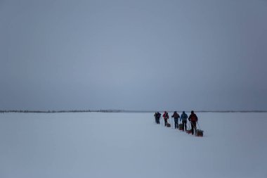 Inari Gölü, Laponya, Finlandiya 'da kayak gezisi