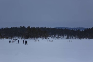 Inari Gölü, Laponya, Finlandiya 'da kayak gezisi