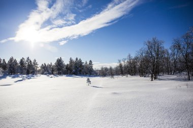 Nuorgam, Laponya, Finlandiya 'da kış manzarası