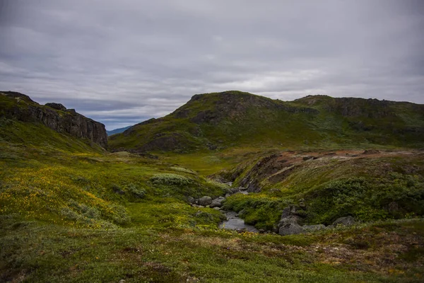 Sommarlandskap Narsaqs Fjordar Sydvästra Grönland — Stockfoto