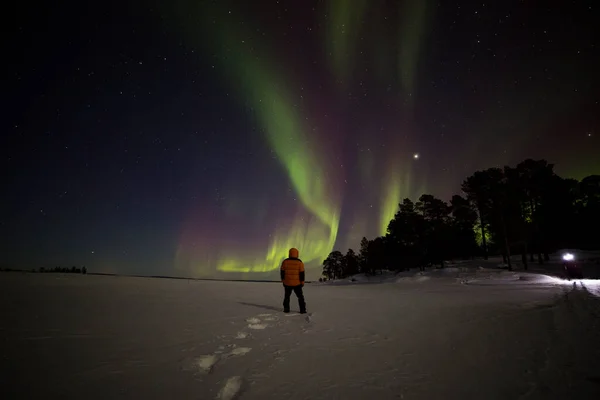 Luzes Norte Inari Lake Lapônia Finlândia — Fotografia de Stock