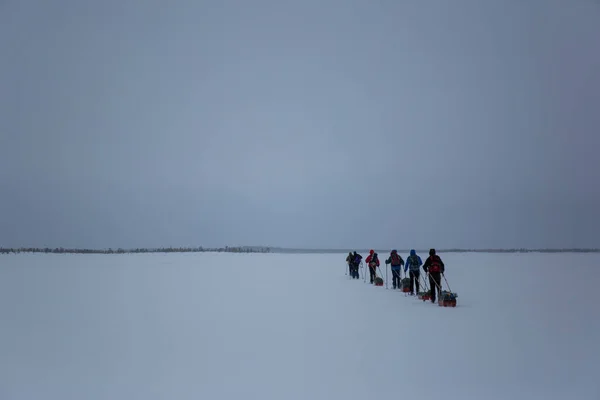 Expedición Esquí Inari Lake Laponia Finlandia — Foto de Stock