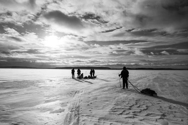 フィンランド ラップランド 稲荷湖でのスキー遠征 — ストック写真