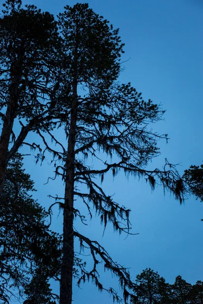 Winter Inari See Lappland Finnland — Stockfoto