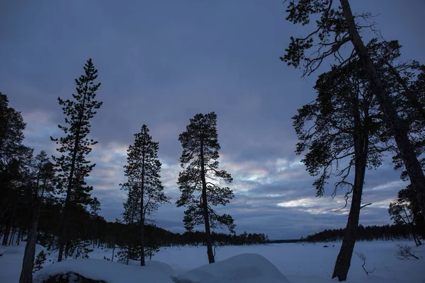 Зима Озере Инари Лапландия Финляндия — стоковое фото