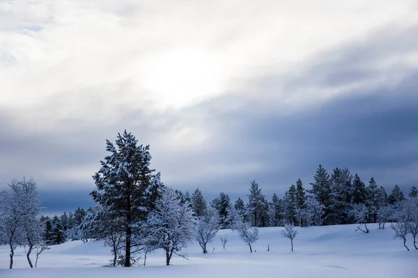 Paisaje Invernal Nuorgam Laponia Finlandia —  Fotos de Stock