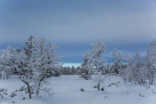 Winter Landscape Nuorgam Lapland Finland — Stock Photo, Image
