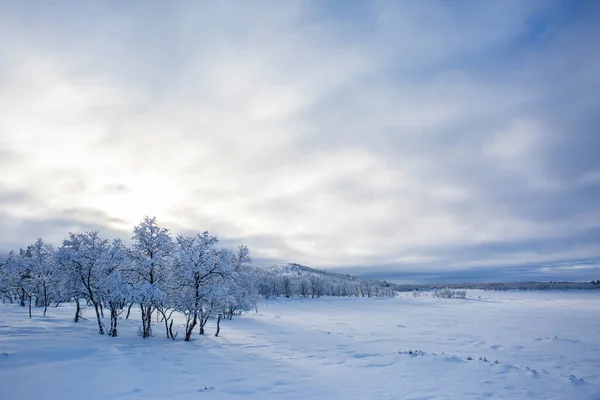 Winterlandschap Nuorgam Lapland Finland — Stockfoto