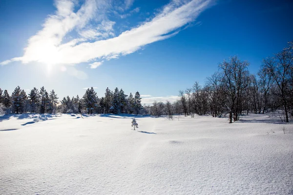 Paisaje Invernal Nuorgam Laponia Finlandia —  Fotos de Stock