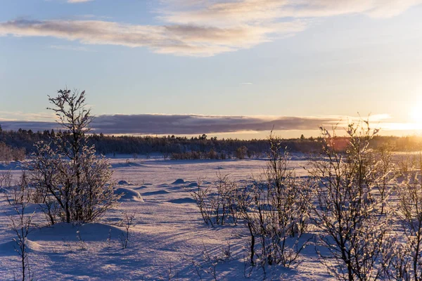 Atardecer Invierno Nuorgam Laponia Finlandia —  Fotos de Stock