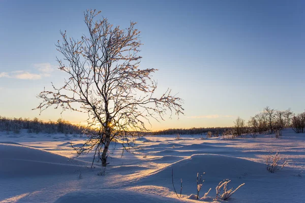 Atardecer Invierno Nuorgam Laponia Finlandia —  Fotos de Stock