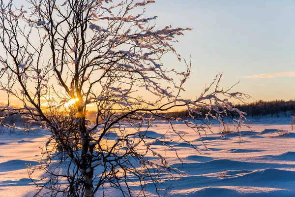 Atardecer Invierno Nuorgam Laponia Finlandia —  Fotos de Stock