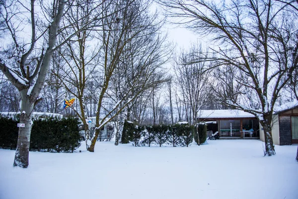 La Cerdanya 'da kış kampı, Pireneler, İspanya
