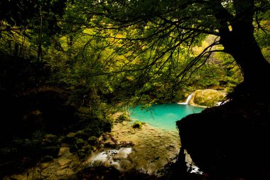 Kuzey İspanya, Navarra 'daki Nacedero de Urederra nehrinde sonbahar sahnesi