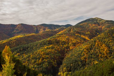 Ordesa ve Monte Perdido Ulusal Parkı 'nda sonbahar sahnesi, İspanya