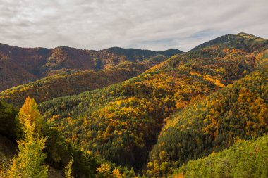 Ordesa ve Monte Perdido Ulusal Parkı 'nda sonbahar sahnesi, İspanya