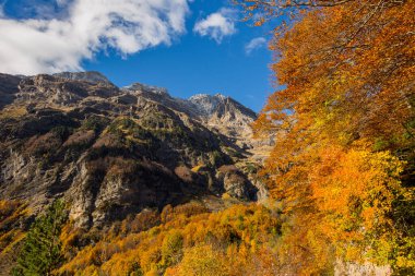 Ordesa ve Monte Perdido Ulusal Parkı 'nda sonbahar sahnesi, İspanya