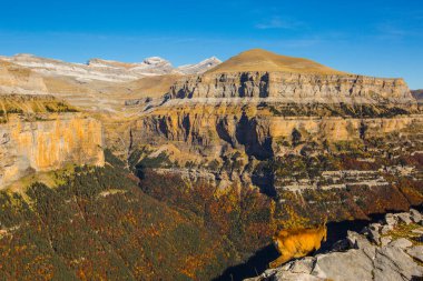 Sonbaharda Ordesa 'da Chamois ve Monte Perdido Ulusal Parkı, İspanya