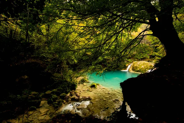 Kuzey İspanya, Navarra 'daki Nacedero de Urederra nehrinde sonbahar sahnesi