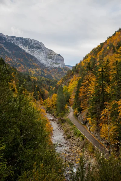 Herbstliche Szenerie Den Wäldern Des Echotals Aragon Nordspanien — Stockfoto