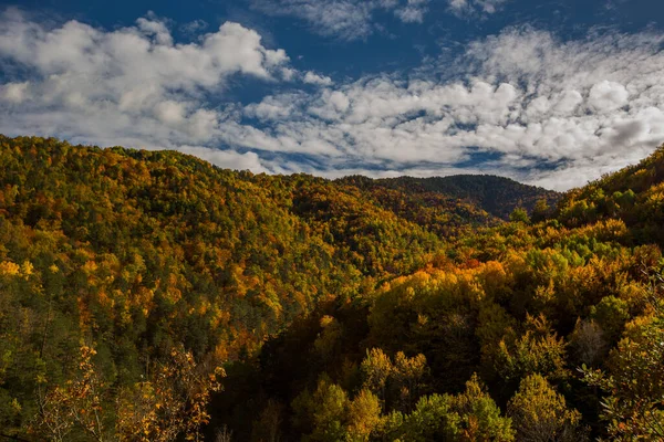 Ordesa ve Monte Perdido Ulusal Parkı 'nda sonbahar sahnesi, İspanya