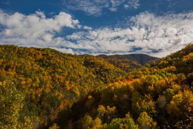 Ordesa ve Monte Perdido Ulusal Parkı 'nda sonbahar sahnesi, İspanya