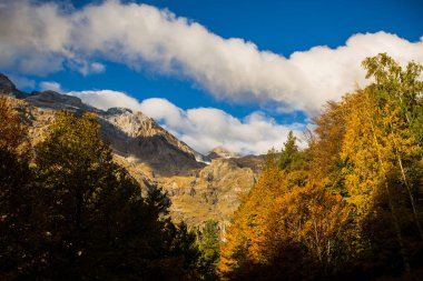 Ordesa ve Monte Perdido Ulusal Parkı 'nda sonbahar sahnesi, İspanya