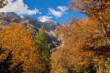Ordesa ve Monte Perdido Ulusal Parkı 'nda sonbahar sahnesi, İspanya