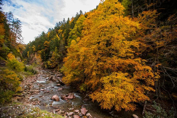 Scena Jesienna Lasach Echo Valley Aragon Północna Hiszpania — Zdjęcie stockowe