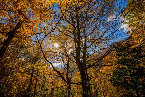 Herfst Scene Ordesa Monte Perdido National Park Spanje — Stockfoto