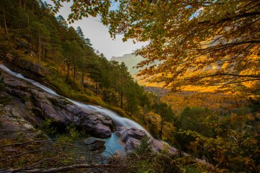 Ordesa ve Monte Perdido Ulusal Parkı 'nda sonbahar sahnesi, İspanya