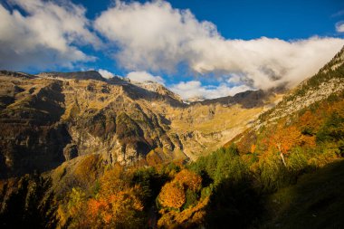 Ordesa ve Monte Perdido Ulusal Parkı 'nda sonbahar sahnesi, İspanya