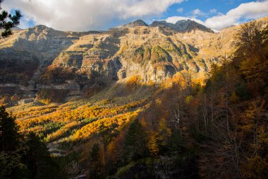 Ordesa ve Monte Perdido Ulusal Parkı 'nda sonbahar sahnesi, İspanya