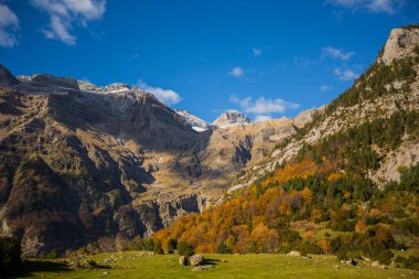 Ordesa ve Monte Perdido Ulusal Parkı 'nda sonbahar sahnesi, İspanya