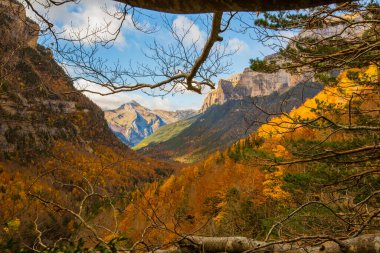 Ordesa ve Monte Perdido Ulusal Parkı 'nda sonbahar sahnesi, İspanya