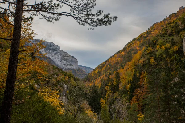 Kuzey Spanya Aragon Daki Echo Vadisi Ormanlarında Sonbahar Sahnesi — Stok fotoğraf